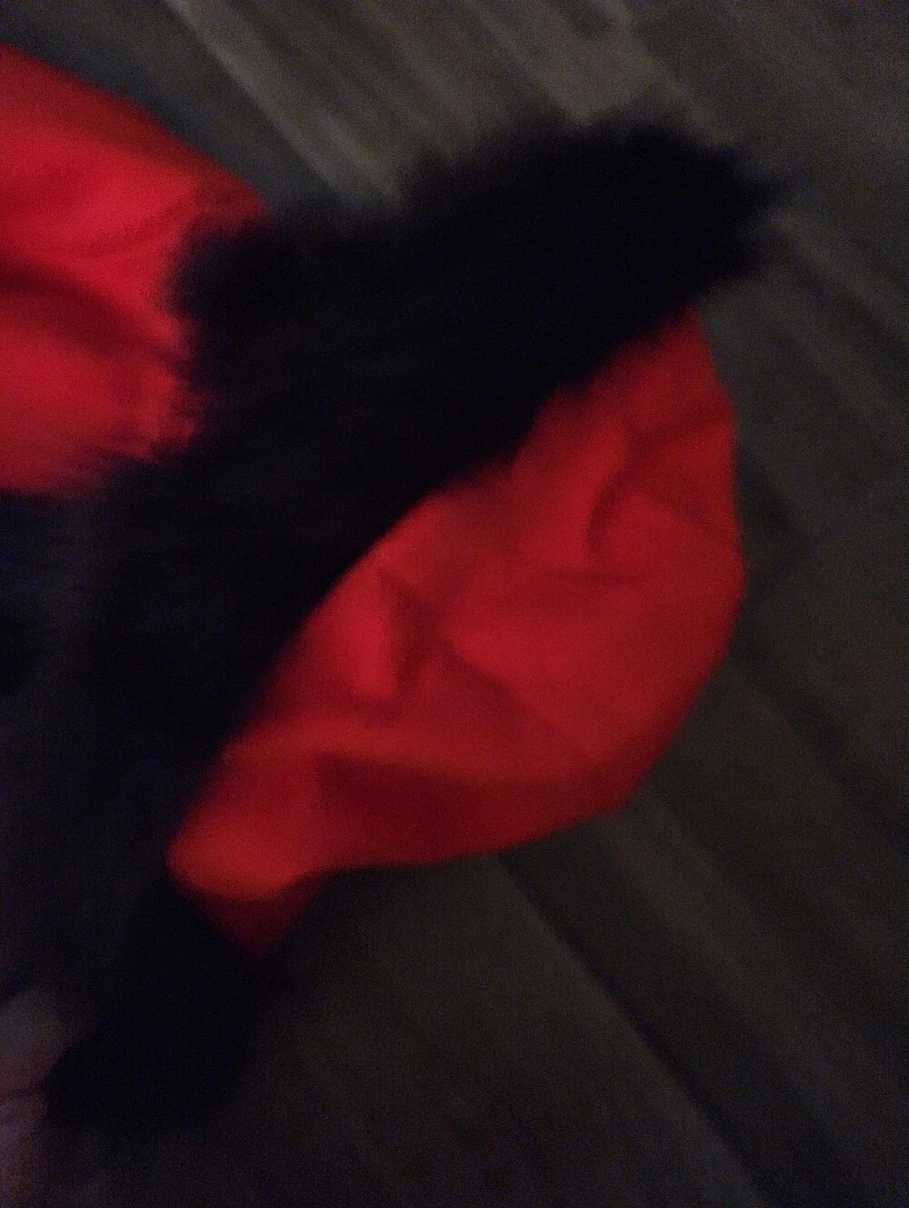 Cat & Jack bright red